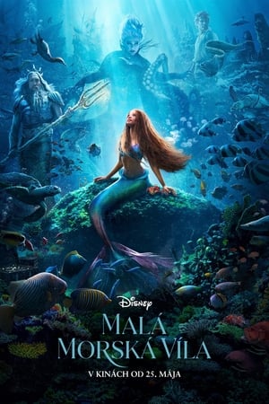 The Little Mermaid (2023) poster 3