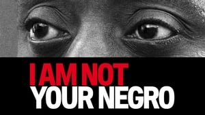 I Am Not Your Negro image 2