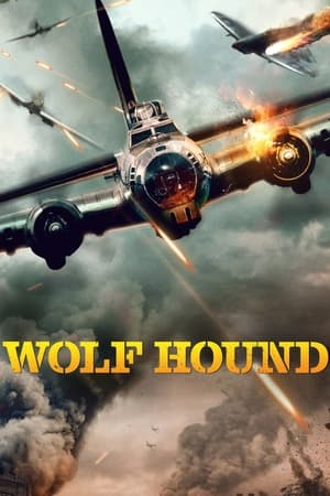Wolf Hound poster 4