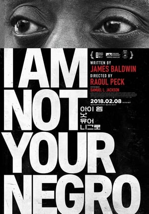 I Am Not Your Negro poster 4
