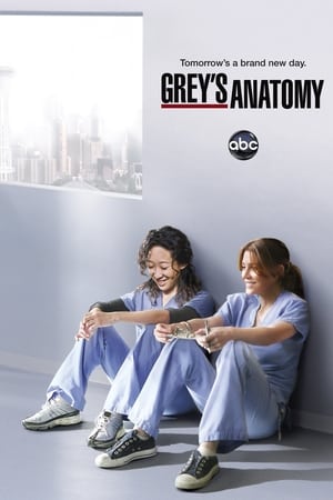 Grey's Anatomy, Season 9 poster 0