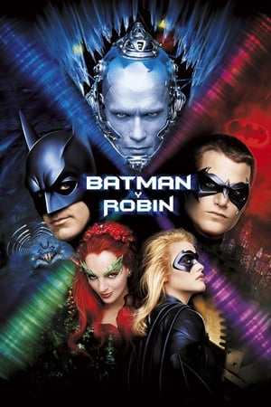 Batman & Robin poster 2