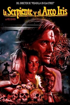 The Serpent and the Rainbow poster 4