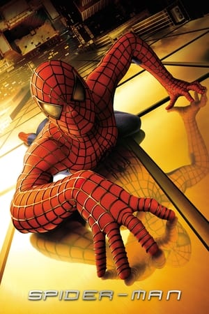 Spider-Man poster 4