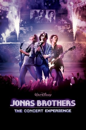 Jonas Brothers: The Concert Experience poster 1