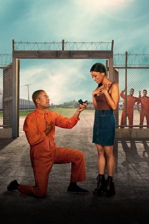 Love After Lockup, Vol. 2 poster 0