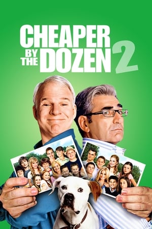 Cheaper By the Dozen 2 poster 2