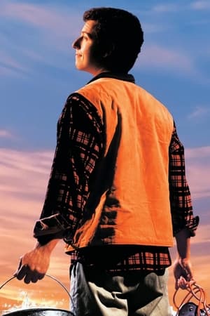 The Waterboy poster 1