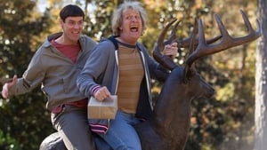 Dumb and Dumber To image 3