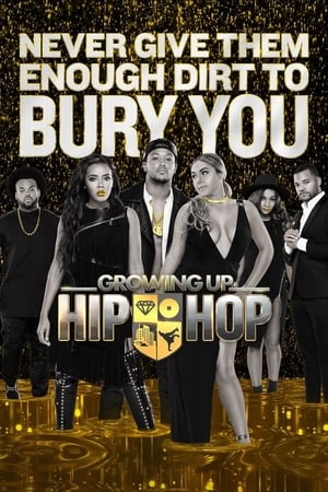 Growing Up Hip Hop, Volume 10 poster 2