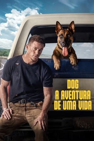 Dog (2022) poster 4