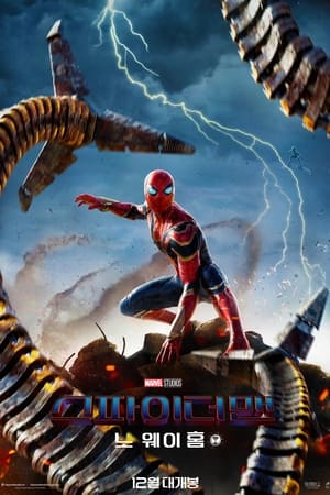 Spider-Man: No Way Home (Extended Version) poster 3