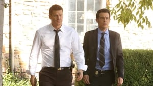 Bones, Season 12 - The Radioactive Panthers in the Party image