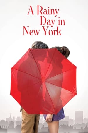 A Rainy Day in New York poster 1
