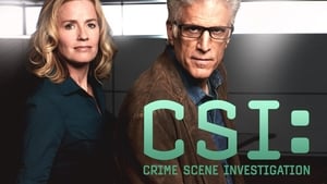 CSI: The Complete Series image 0