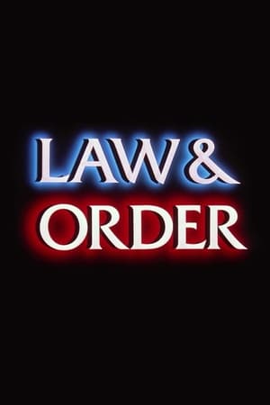 Law & Order, Season 22 poster 0