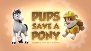 PAW Patrol, Vol. 3 - Pups Save a Pony image