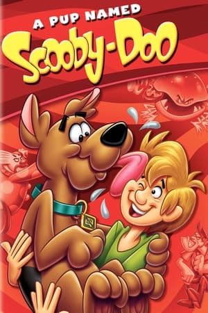 A Pup Named Scooby-Doo, Season 1 poster 3