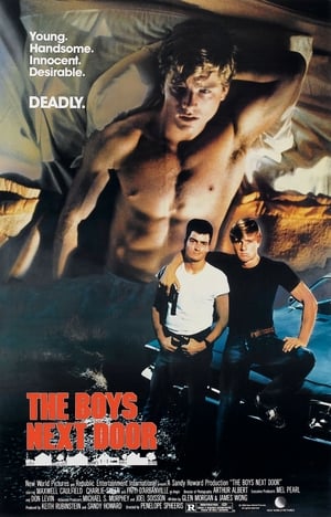 The Boys Next Door poster 2