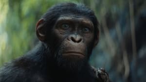 Planet of the Apes (1968) image 5