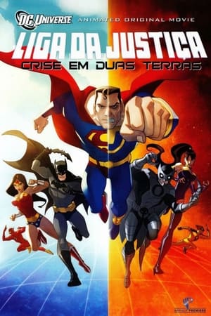 Justice League: Crisis On Two Earths poster 3