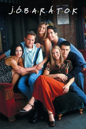 Friends: The Complete Series poster 1