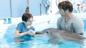 Dolphin Tale image 7