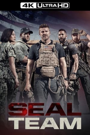 SEAL Team, Season 4 poster 3