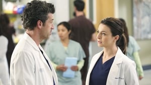 Grey's Anatomy, Season 11 - Could We Start Again, Please? image
