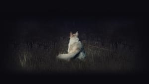 It Comes At Night image 5