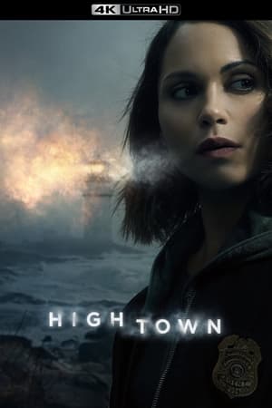 Hightown, Season 1 poster 3