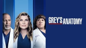 Grey's Anatomy, Season 14 image 0
