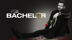 The Bachelor, Season 25 image 1