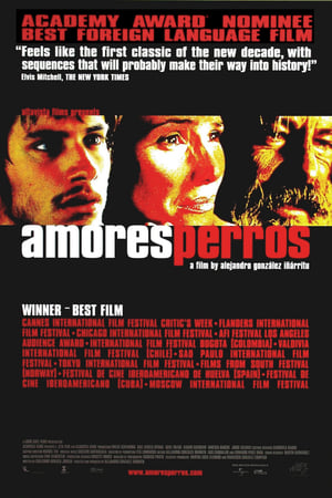 Amores Perros poster 2