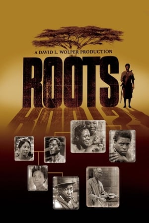 Roots: The Next Generations poster 0