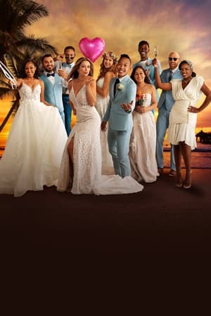 Married at First Sight, Season 1 poster 2
