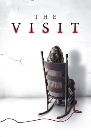 The Visit poster 3