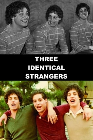 Three Identical Strangers poster 1