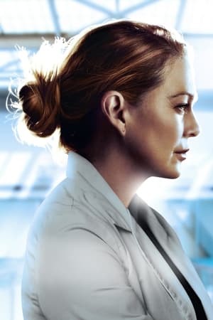 Grey's Anatomy, Season 14 poster 0