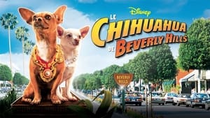 Beverly Hills Chihuahua image 1