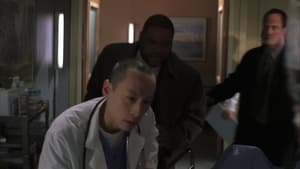 Law & Order: SVU (Special Victims Unit), Season 7 - Fat image
