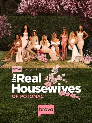 The Real Housewives of Potomac, Season 8 poster 2