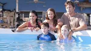 Dolphin Tale image 6