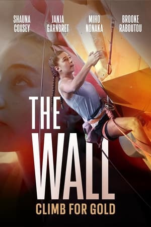 The Wall - Climb for Gold poster 3
