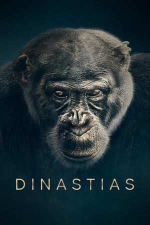 Dynasties poster 2
