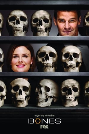 Bones, Season 5 poster 1