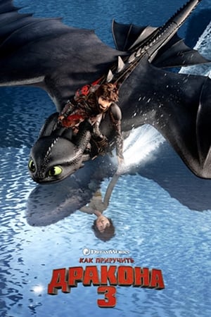 How to Train Your Dragon: The Hidden World poster 4
