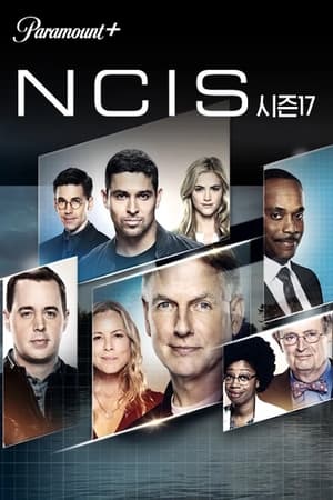 NCIS, Season 10 poster 2