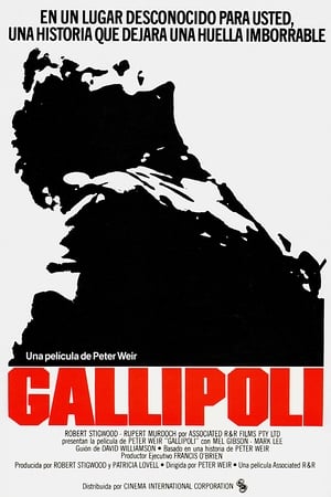 Gallipoli poster 2