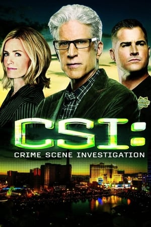 CSI: Crime Scene Investigation, Season 5 poster 0